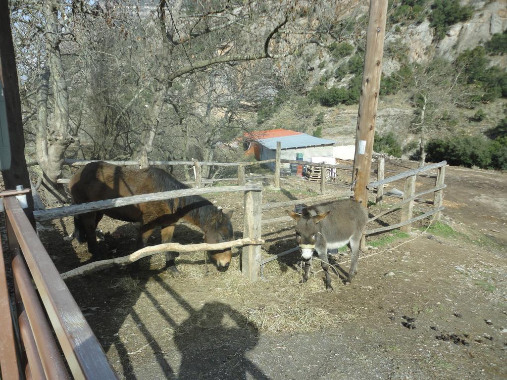 Faraggi Guesthouse Kalavryta Room photo